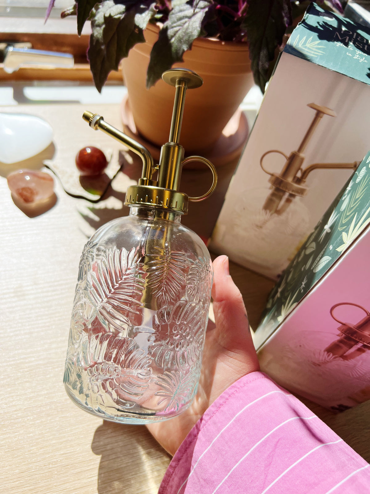 Vintage Glass Plantesprayer