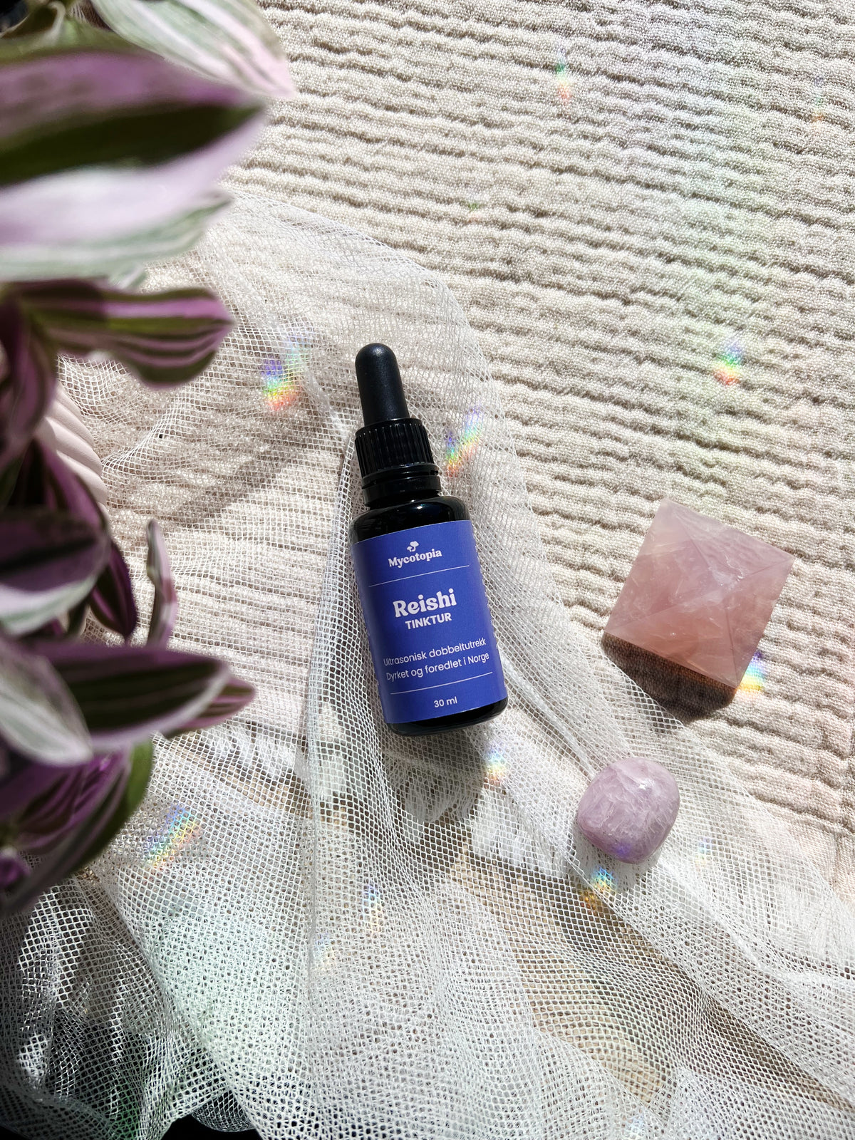 Reishi Tinktur 30 ml