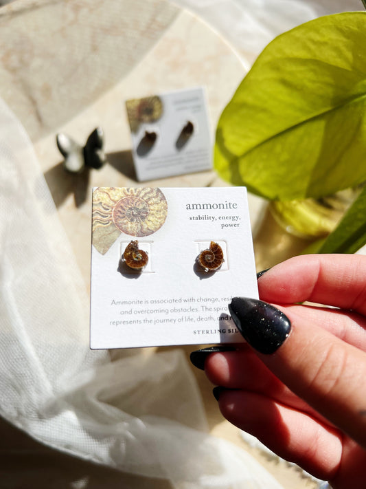 Ammonite Øredobber
