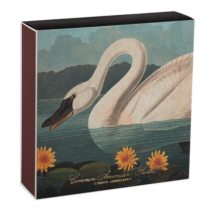 The Common American Swan Luxury Fyrstikker