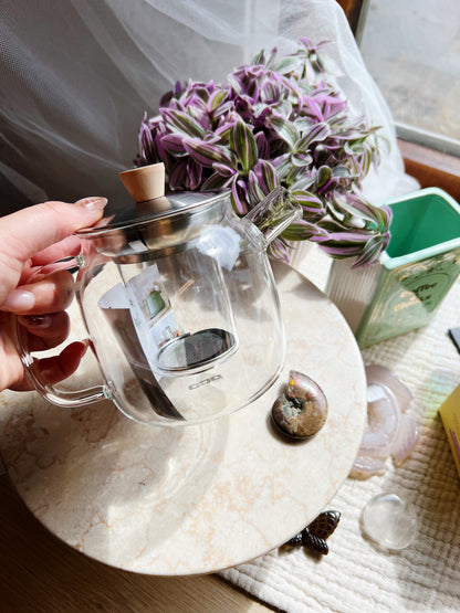 Tekanne i borosilicatglass med sil – 550 ml