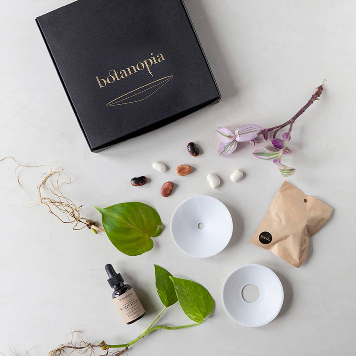 Deluxe Gavesett - Spiring & Formering i Vann