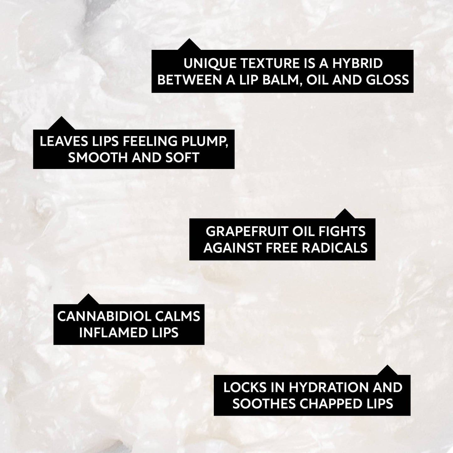 Vegansk Leppepomade med Hemp Seed Oil – UpCircle