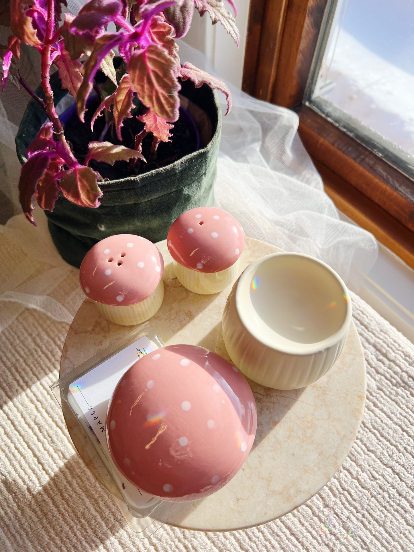 Rosa Sopp Olje og Wax Melt Brenner