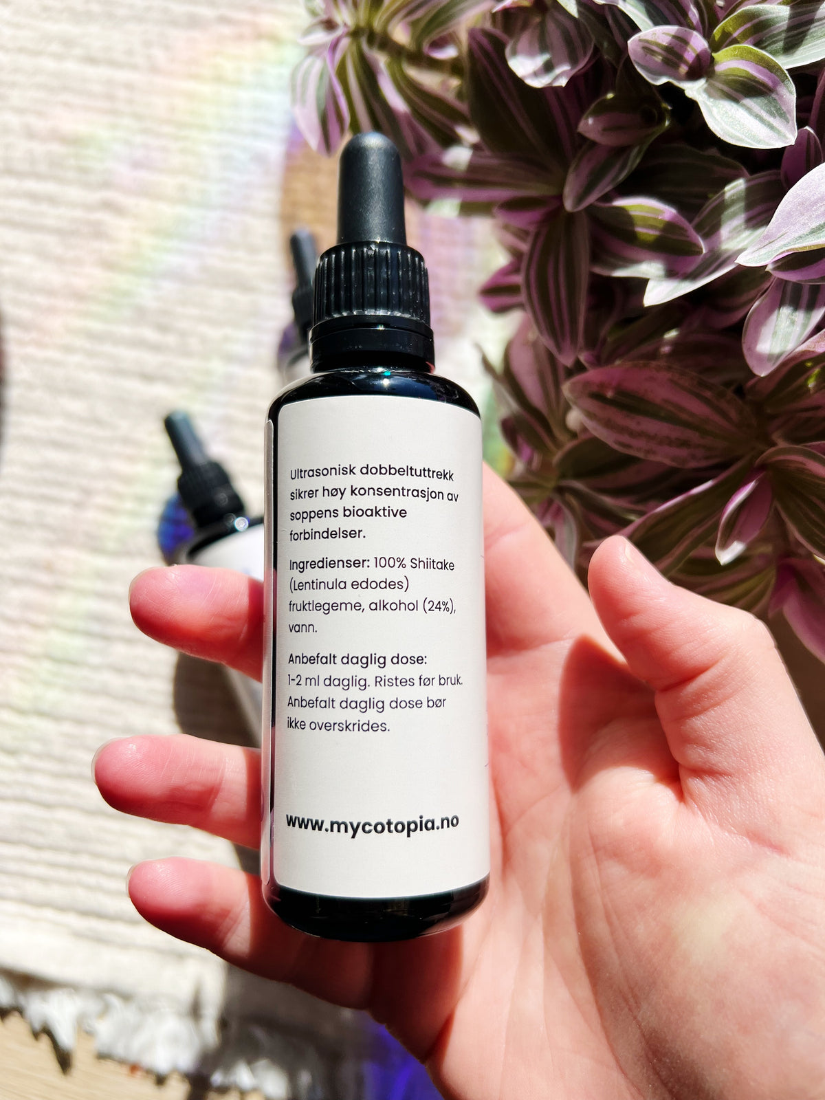 Shiitake Tinktur 50 ml