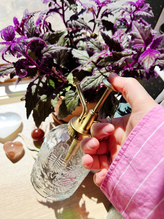 Vintage Glass Plantesprayer