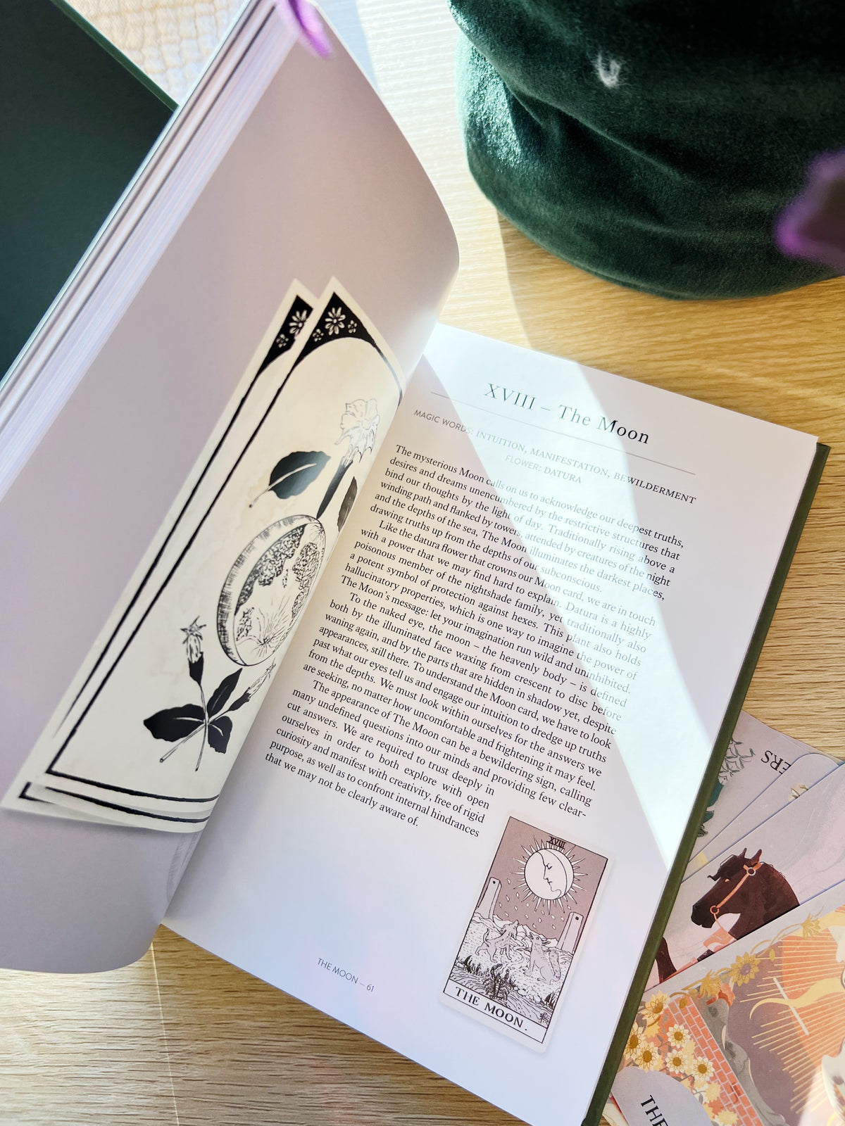 Du Vil Kunne Lese Tarot Ved Slutten av Denne Boken