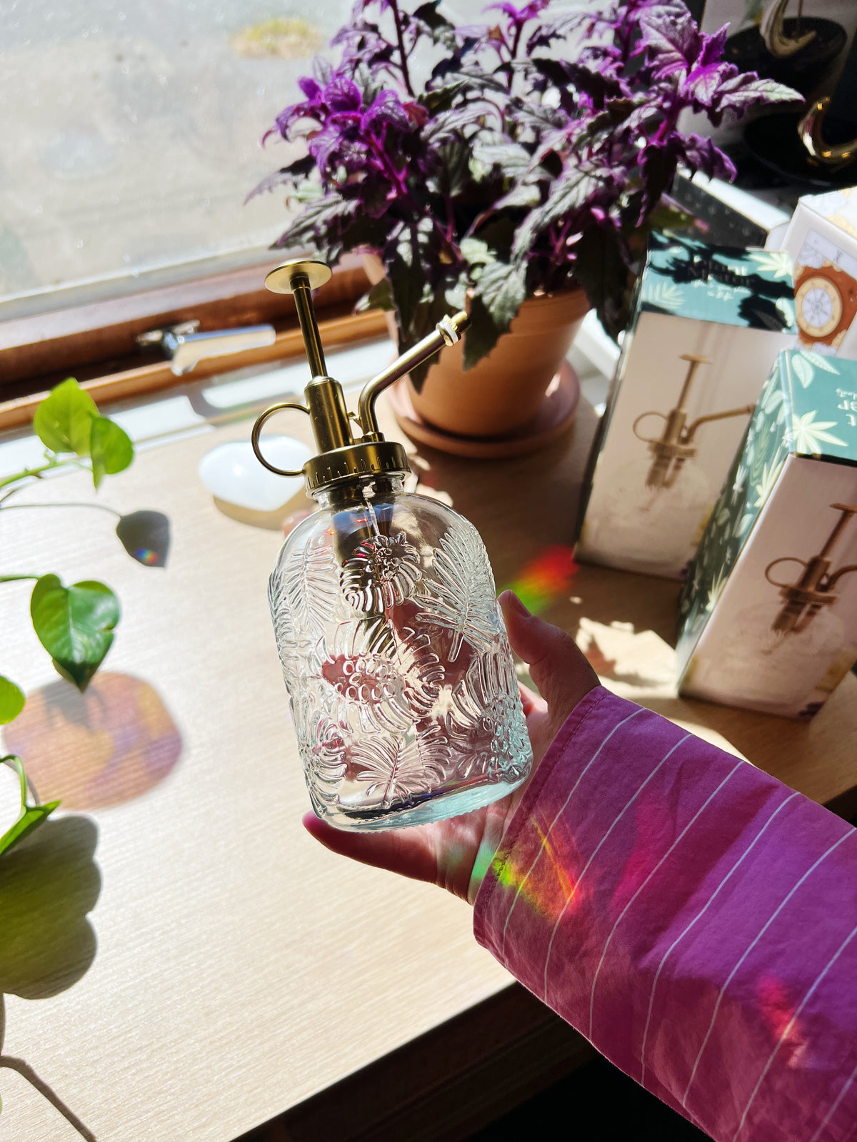 Vintage Glass Plantesprayer