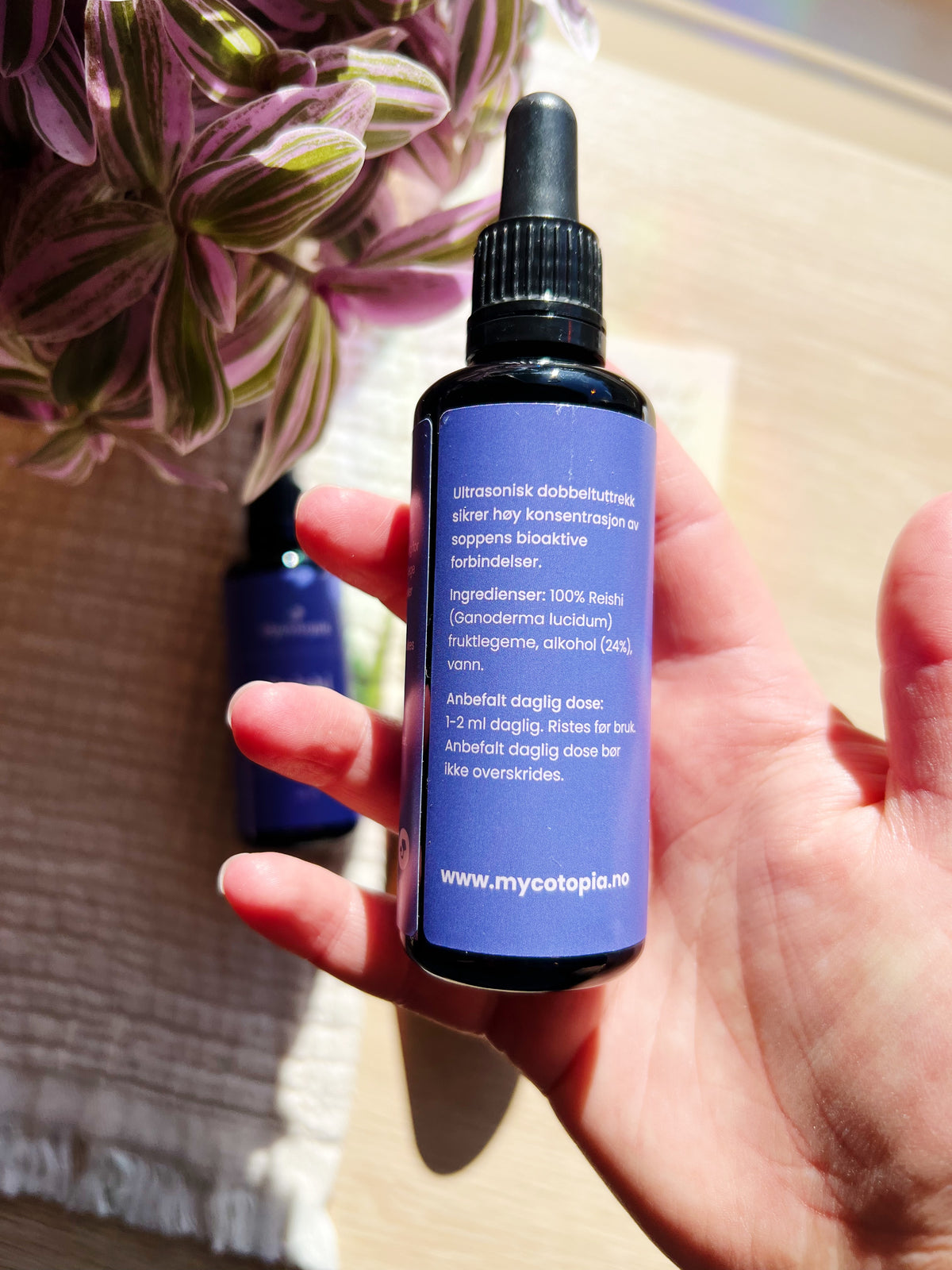 Reishi Tinktur 50 ml