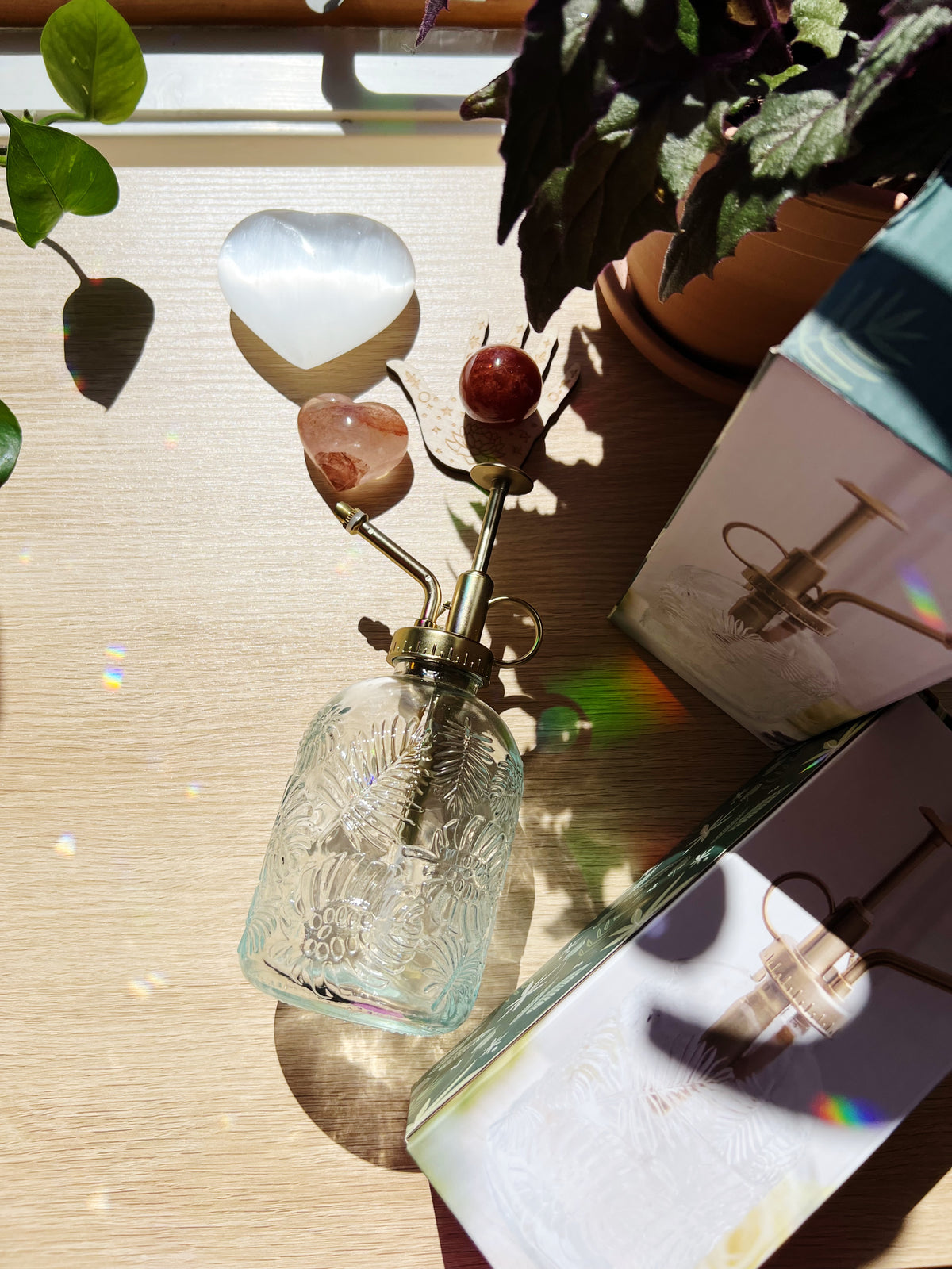 Vintage Glass Plantesprayer