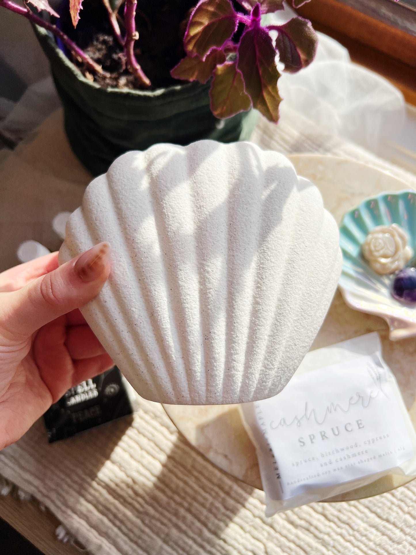 Sjøskall Oljebrenner & Wax Melt Brenner – Steinfarvet