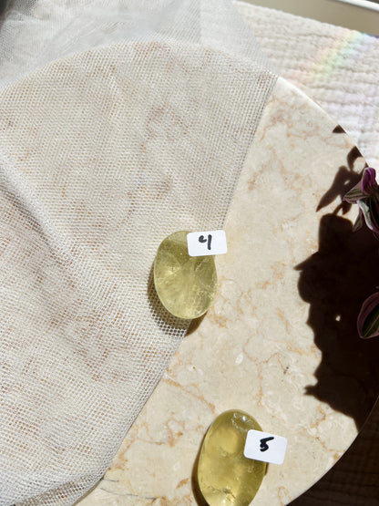Citrin Palmstone