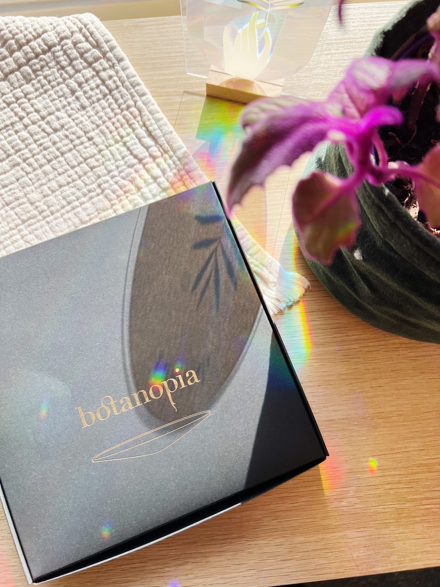 Deluxe Gavesett - Spiring & Formering i Vann