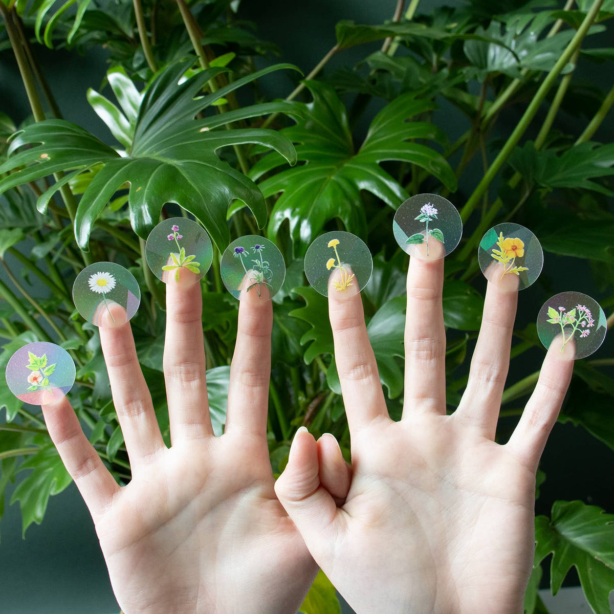 Suncatcher - Stay Wild (8 mini)