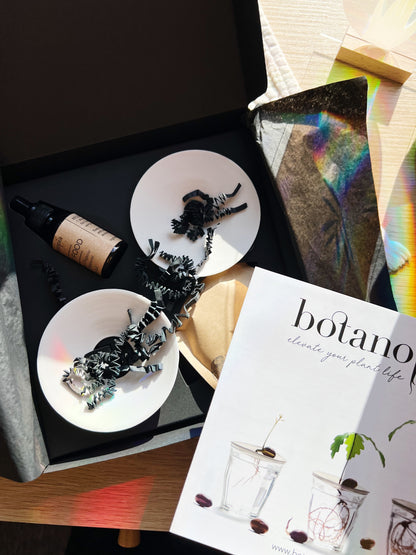 Deluxe Gavesett - Spiring & Formering i Vann