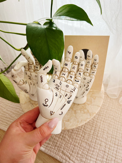 Palmistry Hand