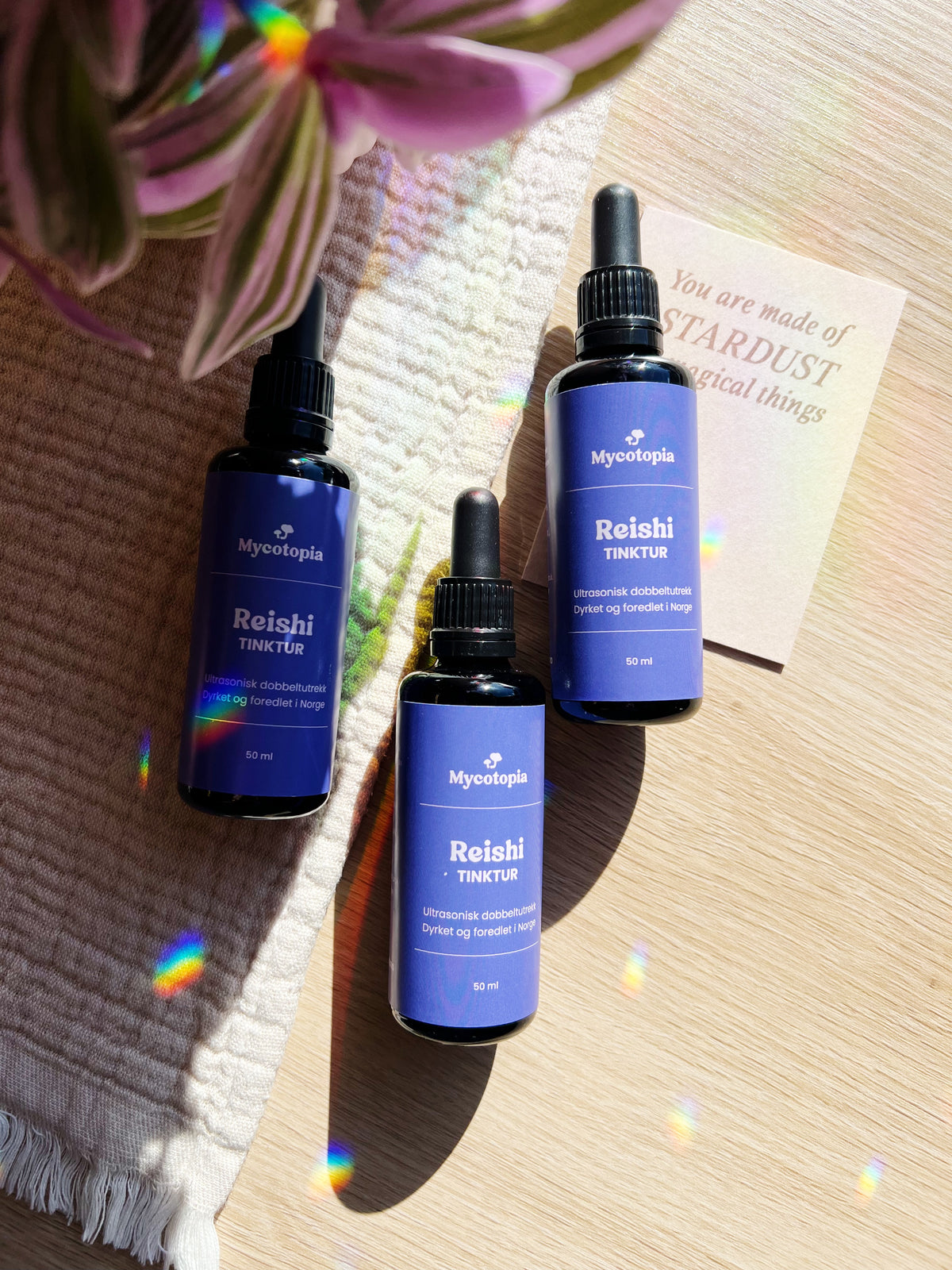 Reishi Tinktur 50 ml