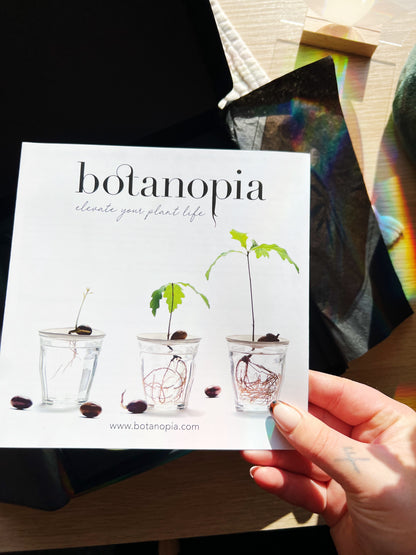 Deluxe Gavesett - Spiring & Formering i Vann