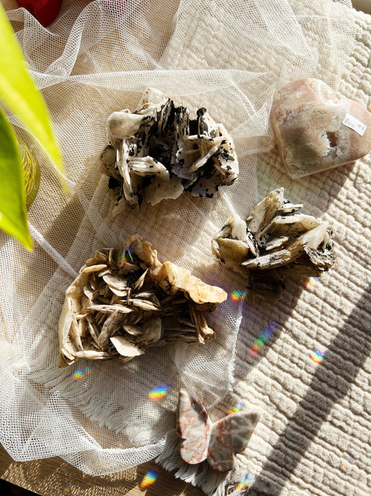 Noir Manganese Rose Krystall Baryte – 200-400g