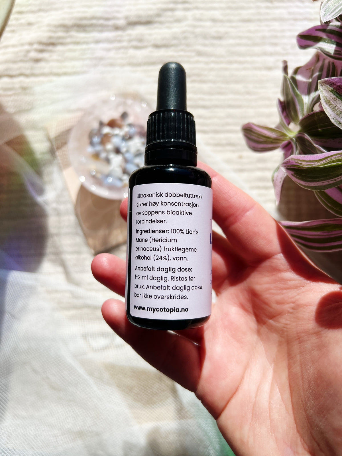 Lion’s Mane Tinktur 30 ml