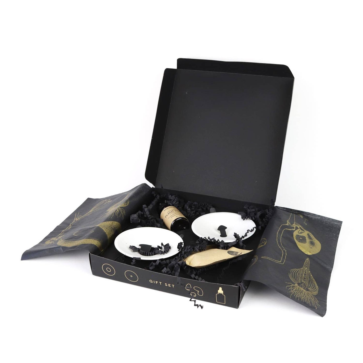 Deluxe Gavesett - Spiring & Formering i Vann