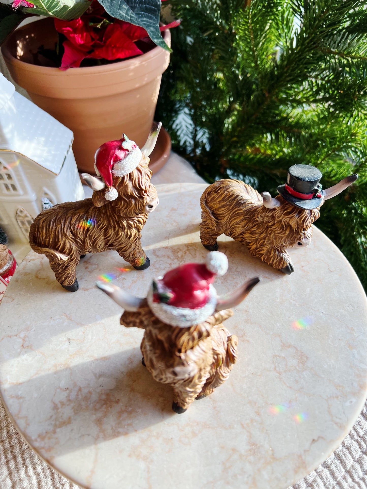 Julekuer Med Juleluer