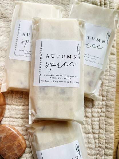 Autumn Spice Snap Bar Wax Melt