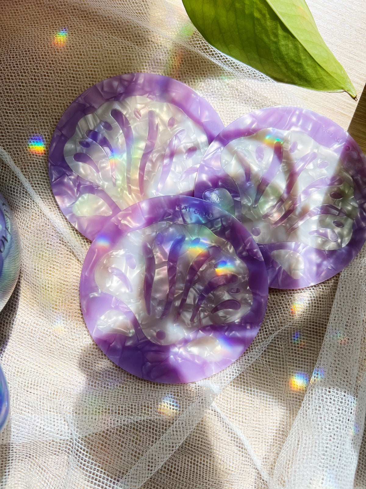 Shell Acetate Coaster 2stk