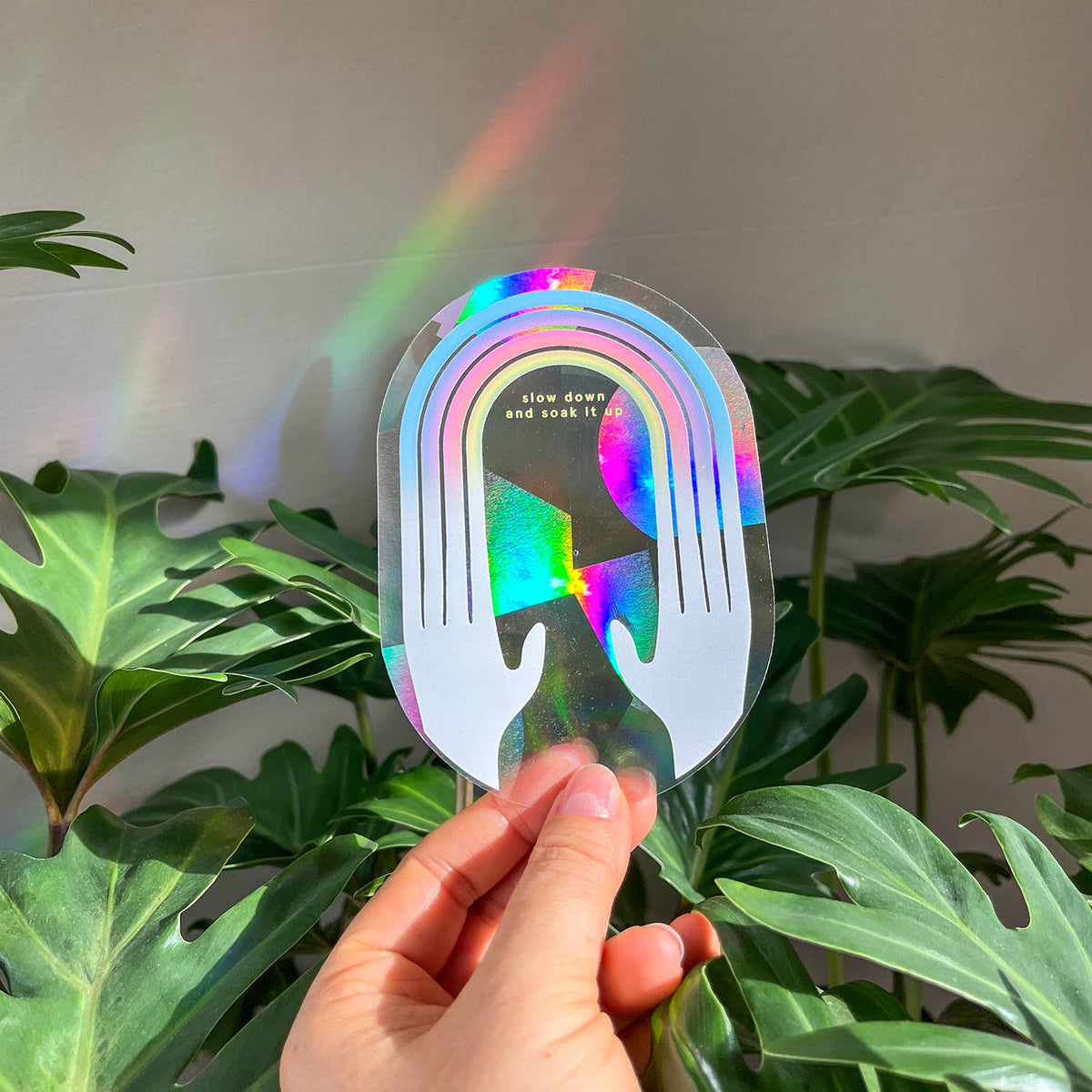Suncatcher - Slow down and soak it up