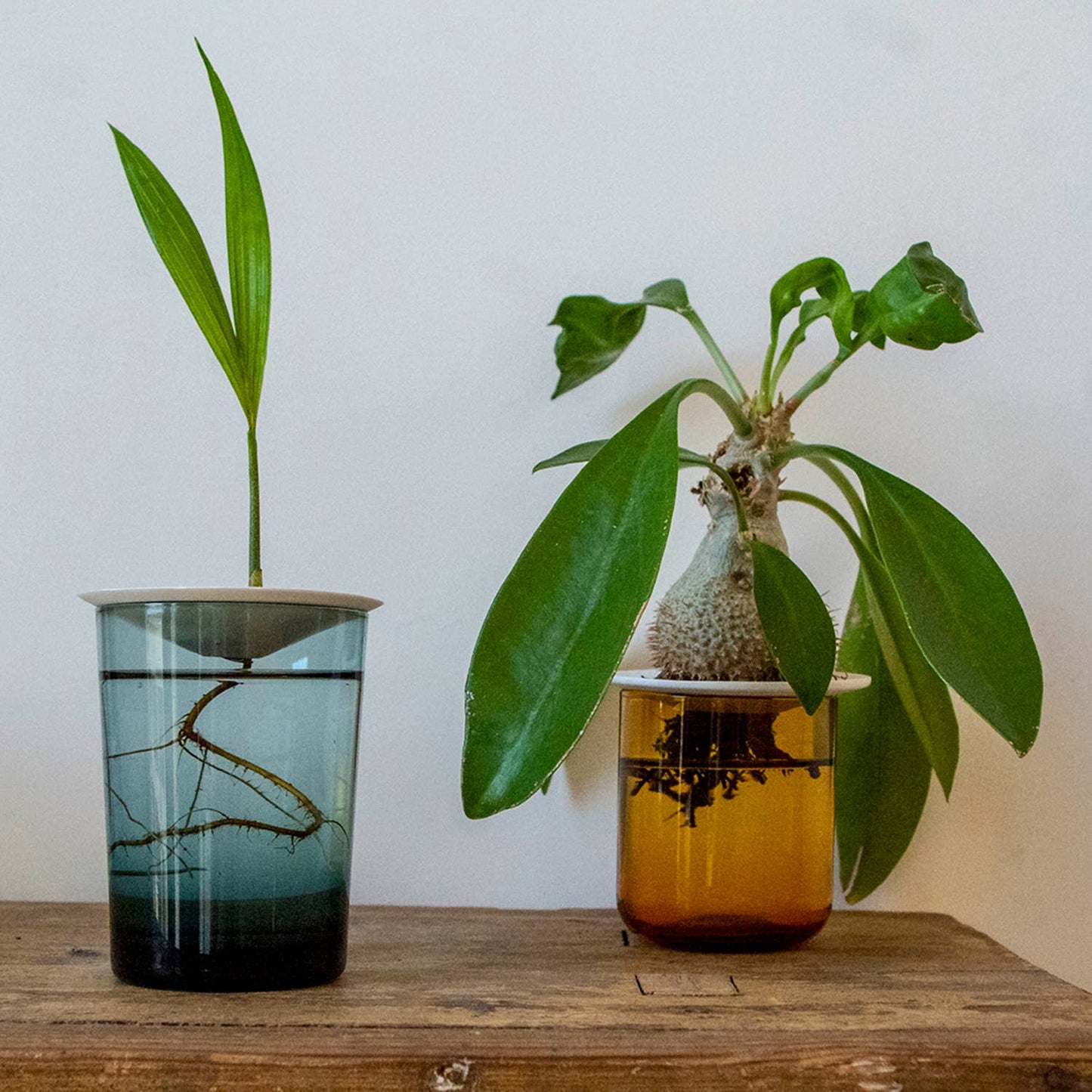 Deluxe Gavesett - Spiring & Formering i Vann