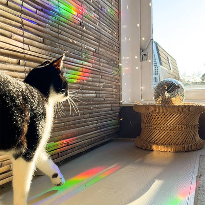 Suncatcher - You Shine So Bright