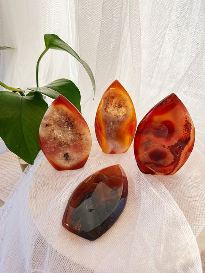 Druzy Karneol Freeform