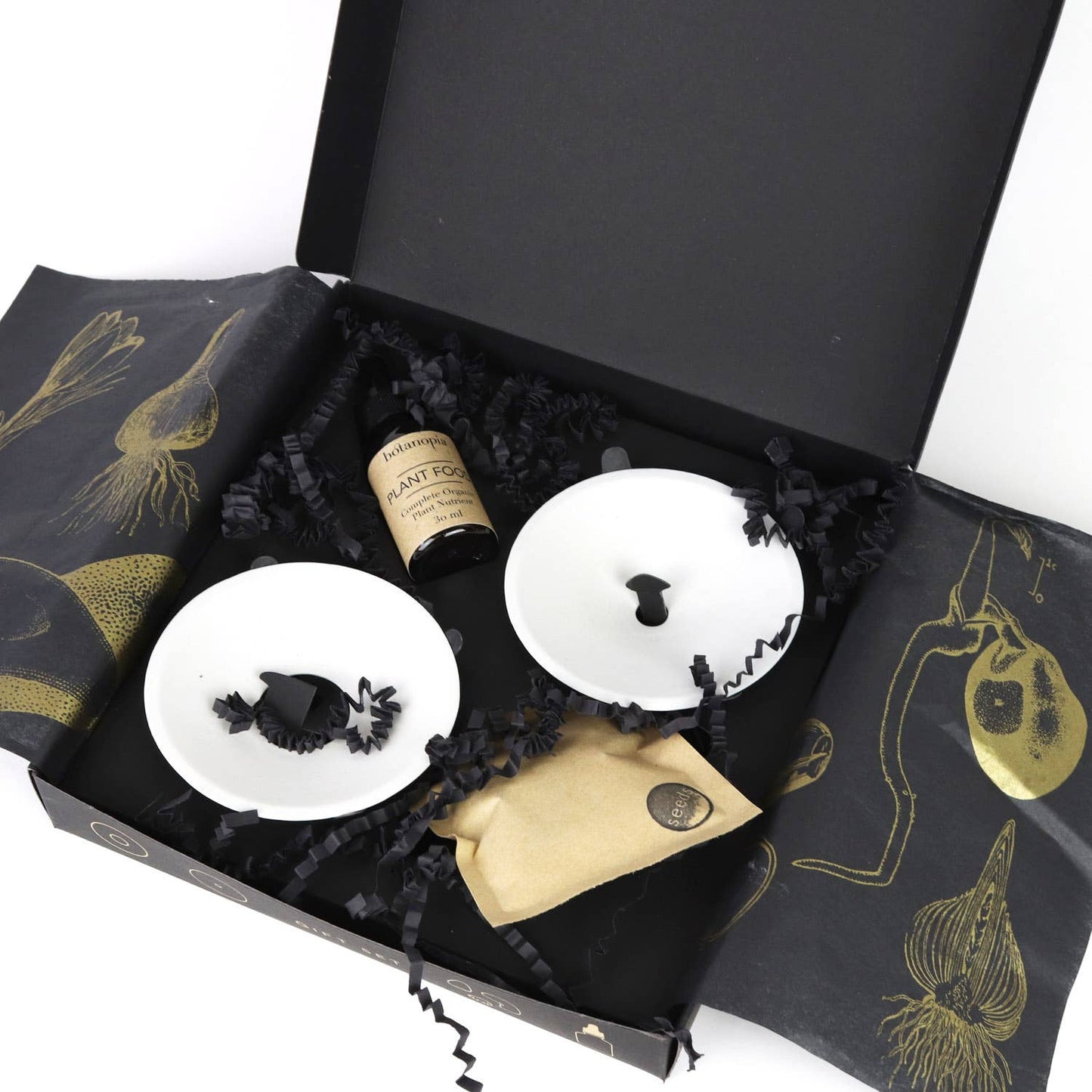 Deluxe Gavesett - Spiring & Formering i Vann