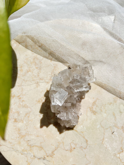 Halitt : 300g