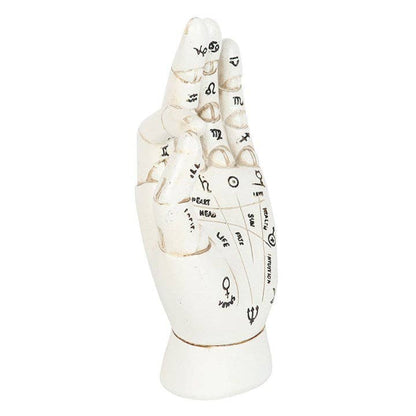 Palmistry Hand