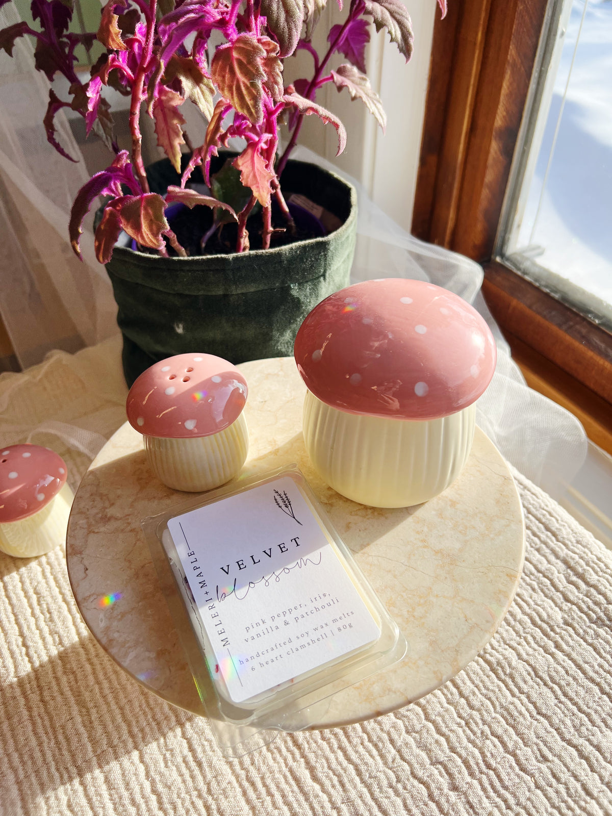 Rosa Sopp Olje og Wax Melt Brenner