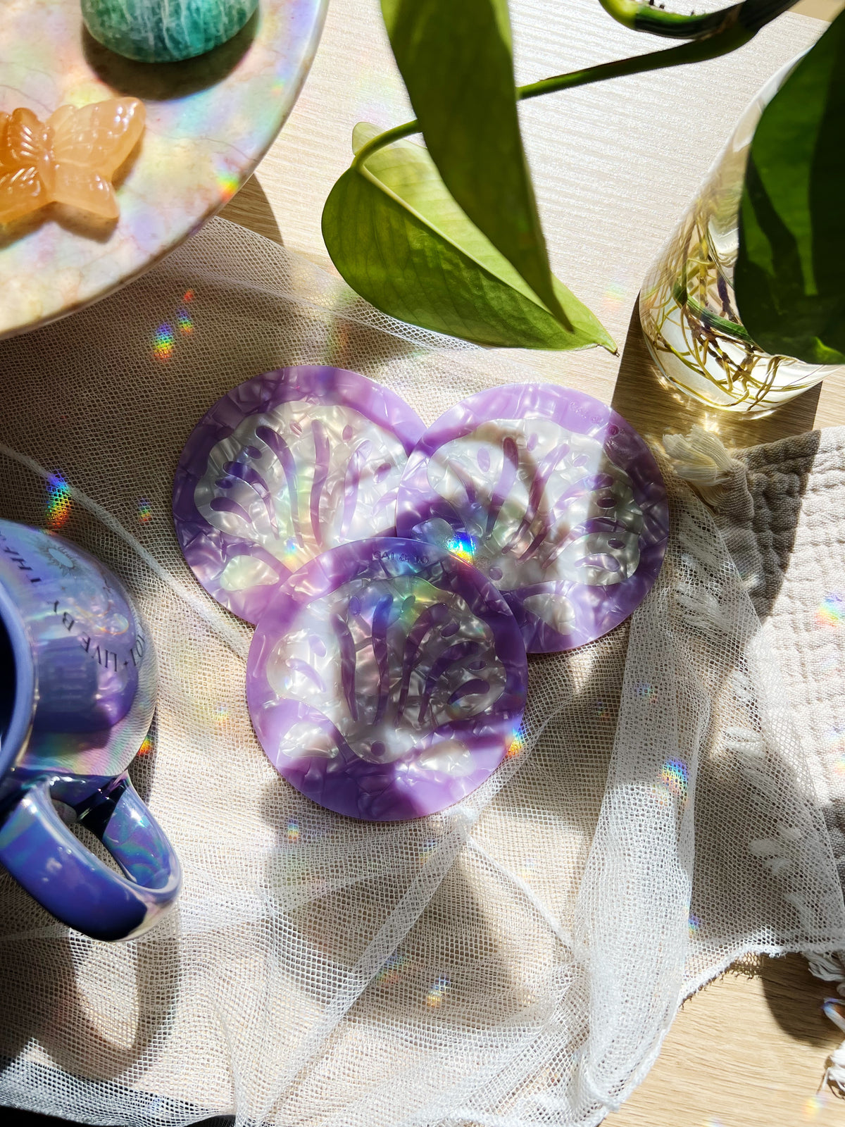 Shell Acetate Coaster 2stk