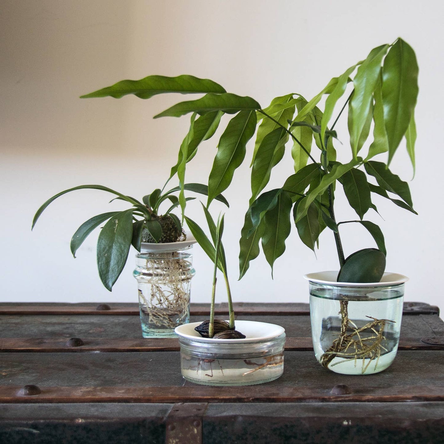 Deluxe Gavesett - Spiring & Formering i Vann