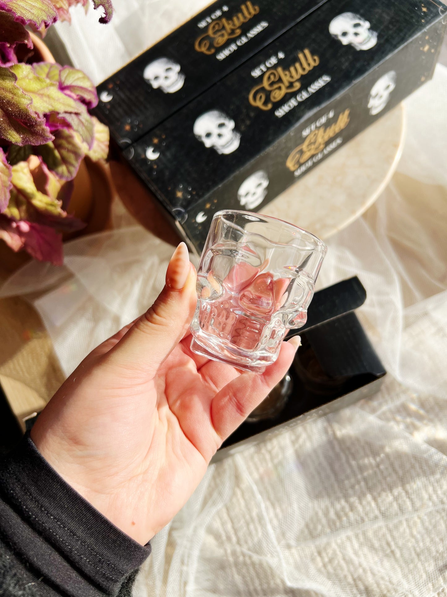 Sett med 4 hodeskalle shotglass