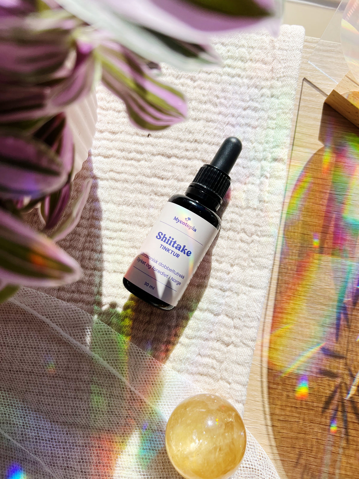 Shiitake Tinktur 30 ml