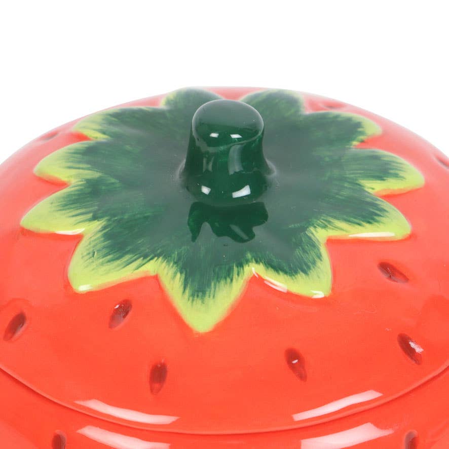 Strawberry Olje / Wax melt Brenner