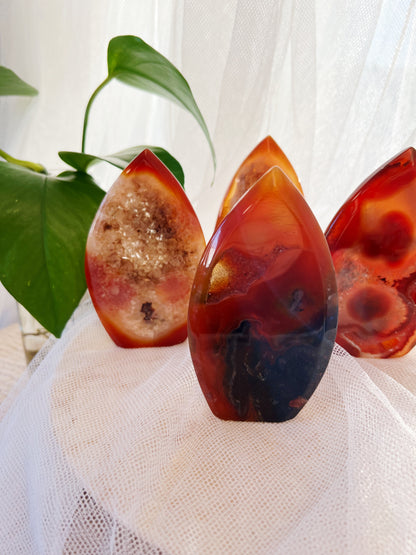 Druzy Karneol Freeform