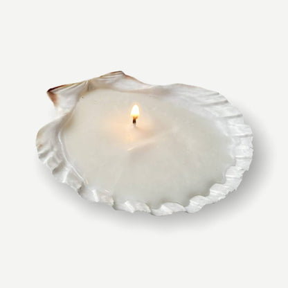 Sea Shell Candle