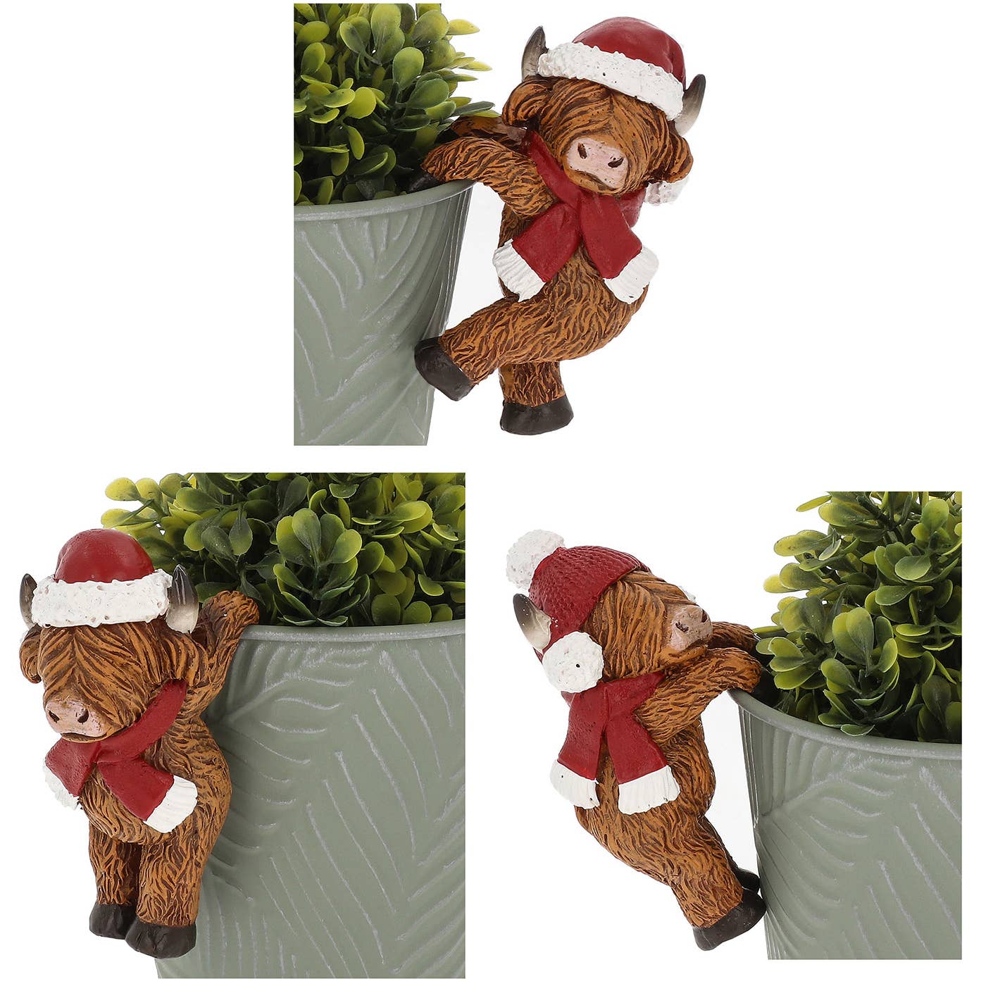 Happy Highland kuer – Plante-henger