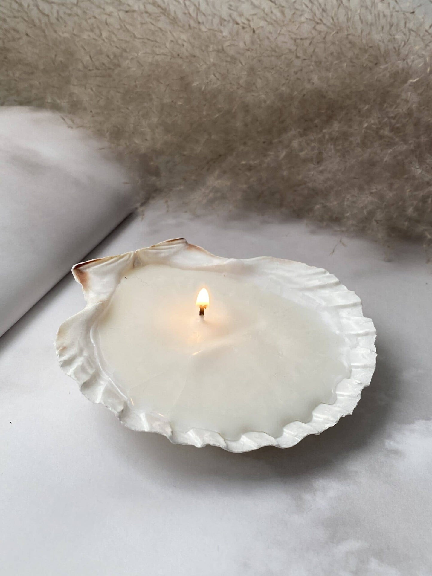 Sea Shell Candle