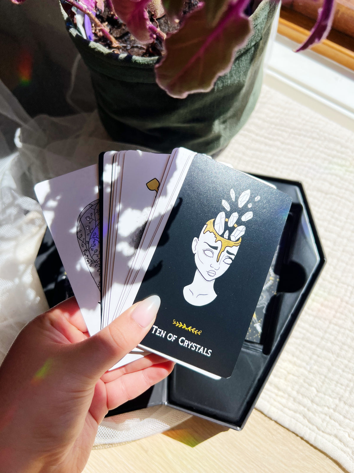 The Macabre Tarot