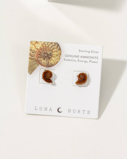 Ammonite Øredobber
