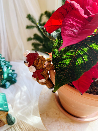 Happy Highland kuer – Plante-henger