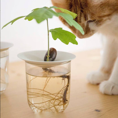 Deluxe Gavesett - Spiring & Formering i Vann