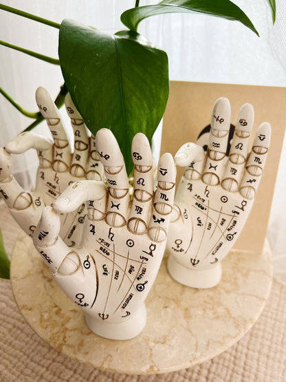 Palmistry Hand